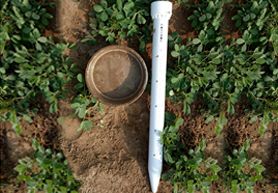 河南管式土壤墑情監(jiān)測站